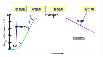 微生物生長(zhǎng)曲線圖